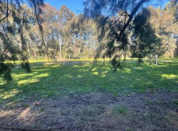 Terreno · 3750m² · Lote en Venta en Brandsen Localidad Gomez
