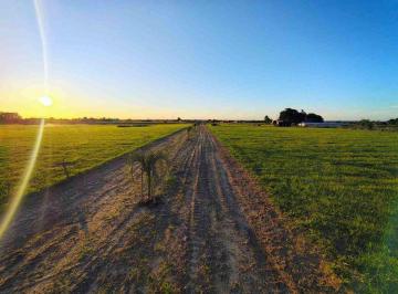 Terreno · 1000m² · Lotes en Venta Sobre Ruta 12 Goya Ctes