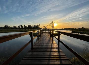 Terreno · 700m² · Lote en Venta en Haras Andrea Virginia, Plomer