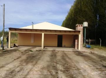 Casa de 3 ambientes, Plottier · En Zona de Chacras de La Ciudad de Plottier, con Orientación Nor - Este, Alquilo Casa.