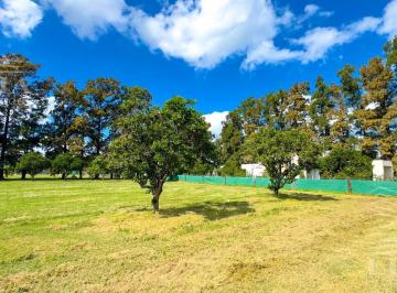 Terreno · 784m² · Lote en Azahares del Paraná