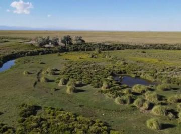 Campo · 621ha · Venta Gran Campo Malargue Mendoza