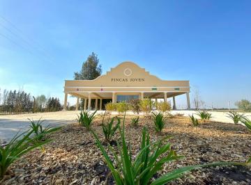 Terreno · 618m² · Venta - Lote en Fincas Joven – San Vicente