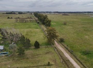 Campo · 430ha · Campo 72 Has Zona Brandsen Autodromo La Plata