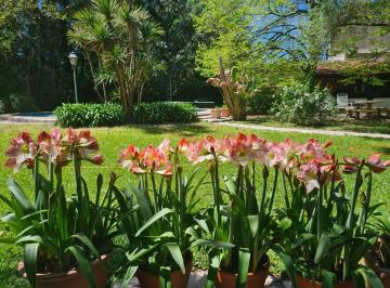 Terreno · 1520m² · Venta Lote en Pilar Centro de 1520 m²