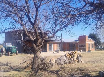 Campo · 300m² · 6 Ambientes · Campo Tipo Finca en Venta en Mendoza.