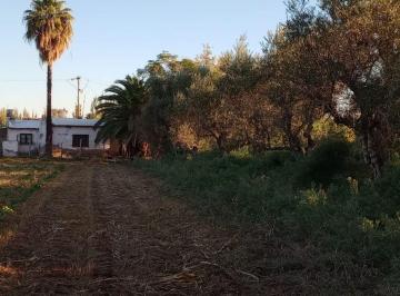 Terreno · 24880m² · Venta de Finca con Dos Casas Mixta, Los Corralitos