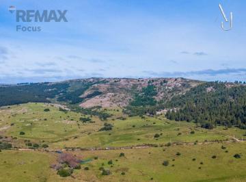 Campo · 26ha · Venta de Campo 25,7 Ha en Minas, Lavalleja.