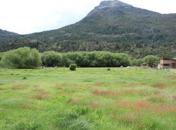 Campo · 14000m² · Chacra en El Hoyo