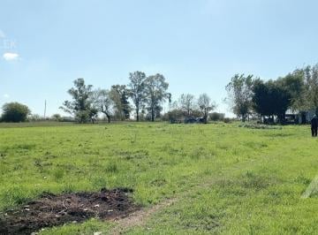 Campo · 60ha · 3 Ambientes · Venta Chacra Campo 5.5 Ha Casa - Marcos Paz - Virrey del Pino