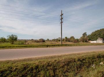 Terreno · 4628m² · Se Vende Amplio Lote Sobre Asfalto