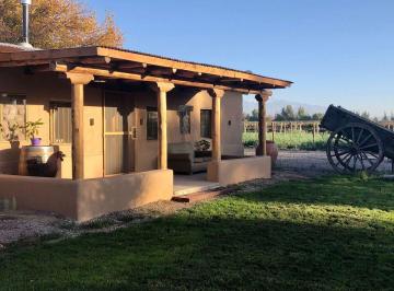 Casa · 430m² · 10 Ambientes · 6 Cocheras · Viñedo y Refugio Para Huéspedes en Valle de Uco