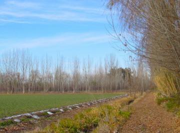 Campo · 17ha · Finca 17 Hectreas en Venta en Tunuyán Valle de Uco