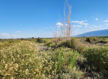 Terreno · 69336m² · Venta de Finca. 7 Ha Pocito