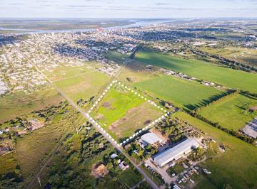Campo · 5ha · Campo 5,2 Ha en Venta Zona Industrial San Lorenzo