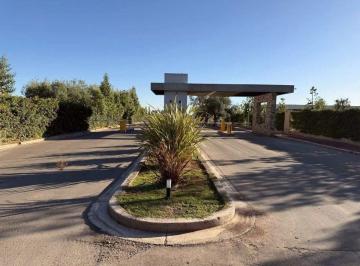 Terreno · 300m² · Venta Lote Bª Las Tacas I Maipu