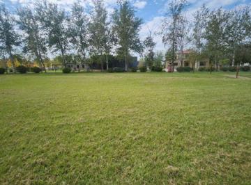 Terreno · 1000m² · Lote en Venta en El Tropezón San Antonio de Areco