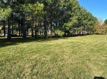Terreno · 11090m² · Venta Lote de 1 Ha con Escritura La Macarena