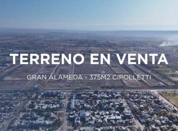 Terreno · 375m² · Terreno en B° Gran Alameda Cipolletti en Venta