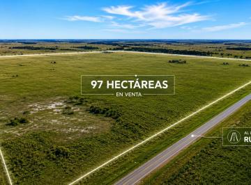 Campo · 60ha · Campo en Venta. Ruta 36.km 100. Magdalena. La Plata