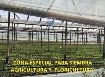 Campo · 4ha · Campo en Venta 4 Hectarias Abasto La Plata Chacra