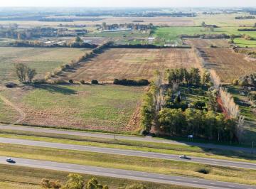 Terreno · 141252m² · Campo 12 Has Ruta 9 Km 98 en Zárate