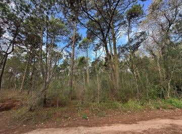 Terreno · 1058m² · Venta Terreno Carilo con Vista a La Reserva