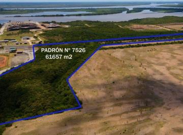 Terreno · 61657m² · Venta Terreno Zona Franca m'Bopicua Fray Bentos