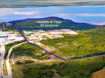 Depósito · 8351m² · Venta Depósitos y Gran Terreno Fray Bentos