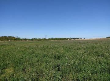 Campo · 4ha · Venta Campo Casi 4 Hás, a 1 Cuadra de Ruta 75
