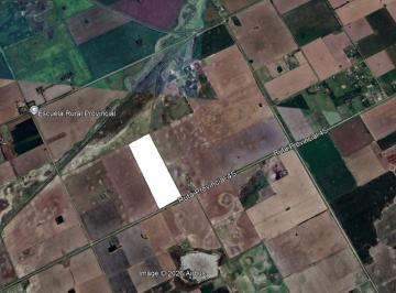 Campo · 32500ha · 32,5 Hreas Agricola/ganadero - Camino a San Eduardo