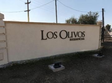 Terreno · 1800m² · Venta de Lote en Los Olivos Residencial - Lavalle