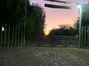 Campo · 30ha · Venta Finca Alfalfa Apta Feedlot en San Martín