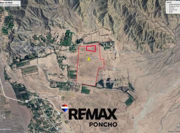 Campo · 373ha · Se Vende Campo en Tinogasta 388 Has Chalet, Galpon