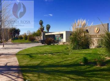 Terreno · 1000m² · Terreno en Venta Barrio Privado Divina Rosa