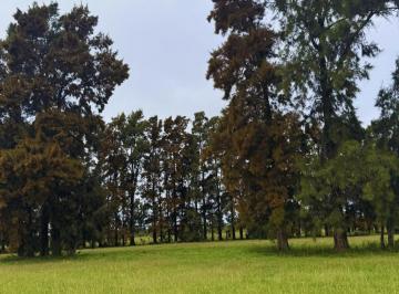 Terreno , San Pedro · Driving Golfsan Pedro, Buenos Aires