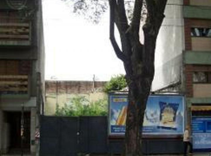 Terreno · 224m²