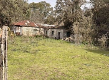 MRE-MRE-2521_2 · Venta Chacra Terreno con Galpon y Arboles en Paraje Libres del Sud Chascomus