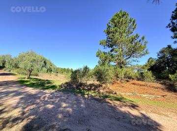 Terreno · 501m² · Terreno en Venta en Zagarzazu 500 m².