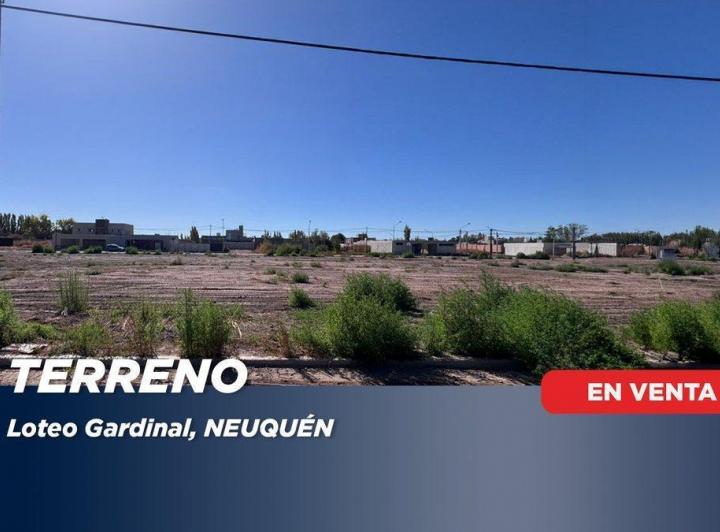 Terreno · 267m²