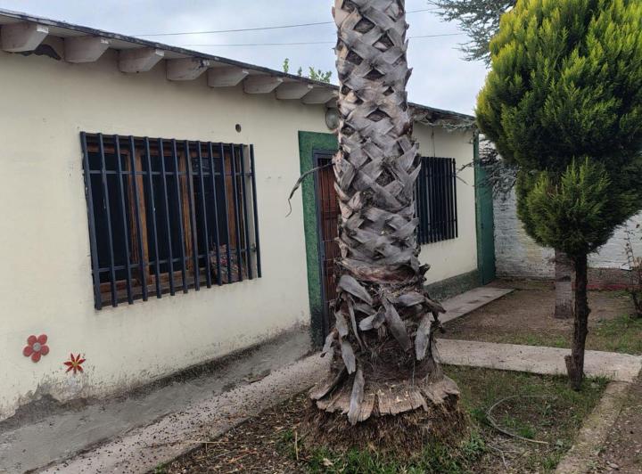 Casa · 86m² · 5 Ambientes · 1 Cochera
