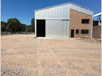 Bodega-Galpón · 600m² · Galpón El Alquiler