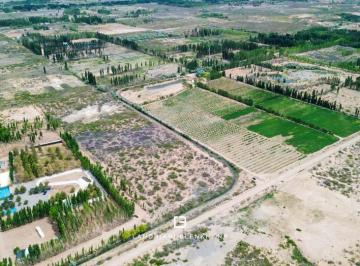 Terreno · 50000m² · Terreno en Plottier