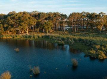 BPV-BPV-9830_2 · Lote Sobre La Laguna Blanca en Venta