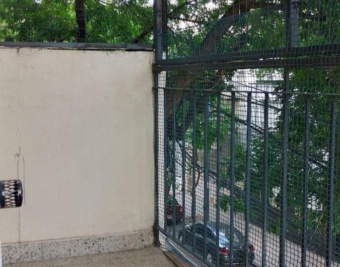 Departamento · 45m² · 3 Ambientes