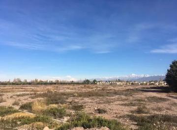 Terreno · Lote en Venta - Maipú - Mendoza