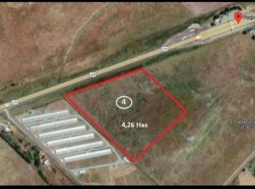 Campo · 42500m² · 3 Ambientes · Quinta Chacra en Venta Uribelarrea 4 Ha