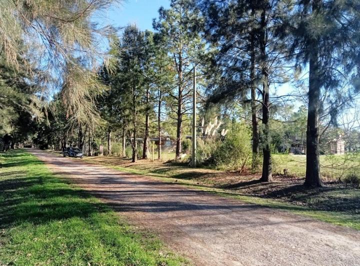 Terreno · 2500m²