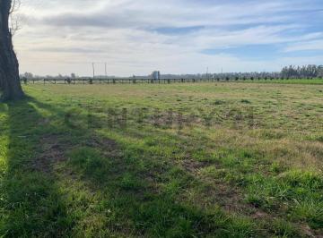 Campo · 3000m² · Venta Campo Lote San Andres de Giles 3000 m²