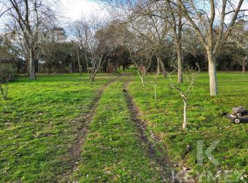 Campo · 27698m² · Campo en Venta en Arturo Seguí